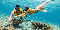 Cancun reef snorkeling (6th area)